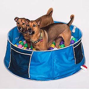 Pop up sale dog bath